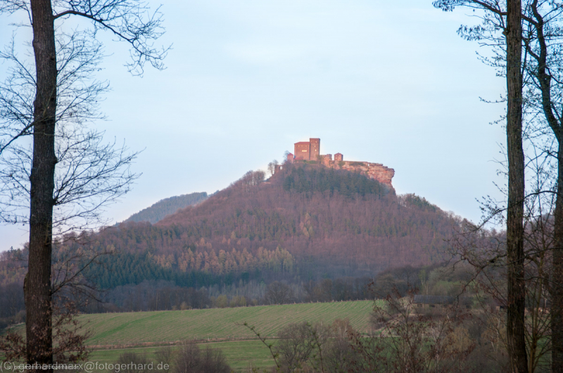 Trifels, Pfälzerwald