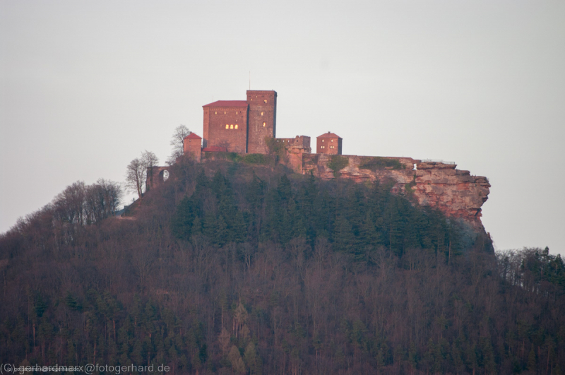 Trifels, Pfälzerwald