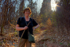 Trifels, Pfälzerwald