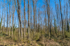 2020_03_22-11_56_03_22.JPG-nggid041733-ngg0dyn-480x320x100-00f0w010c011r110f110r010t010
