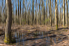 2020_03_22-12_17_26_27.JPG-nggid041778-ngg0dyn-1200x795-00f0w010c010r110f110r010t010