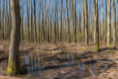2020_03_22-12_17_26_27.JPG-nggid041778-ngg0dyn-800x600-00f0w010c010r110f110r010t010