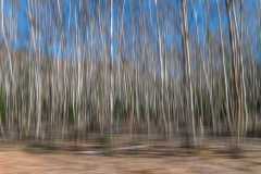 2020_03_22-12_18_40_29.JPG-nggid041797-ngg0dyn-480x320x100-00f0w010c011r110f110r010t010