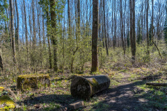 2020_03_22-11_57_50_23.JPG-nggid041741-ngg0dyn-1200x795-00f0w010c010r110f110r010t010