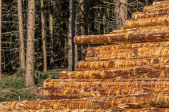 2020_03_22-12_27_08_30.JPG-nggid041808-ngg0dyn-480x320x100-00f0w010c011r110f110r010t010