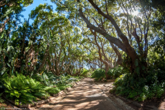 1_2009_12_14-16_07_47_18