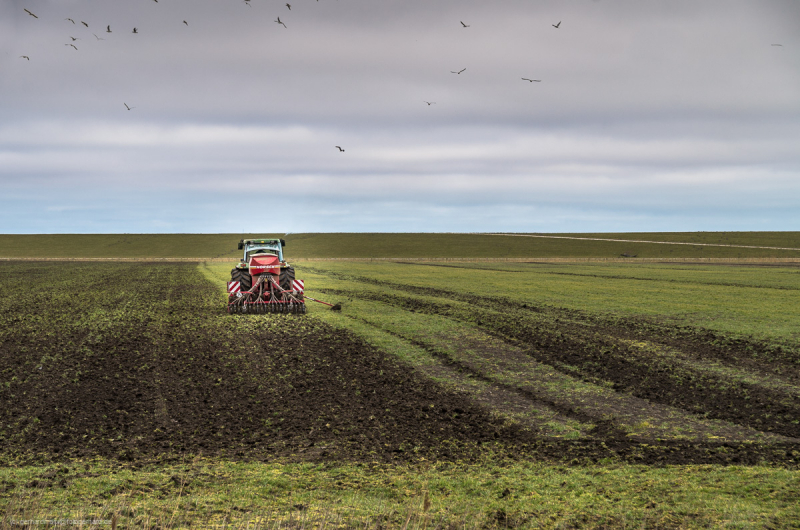 2018_03_26-10_39_47_6