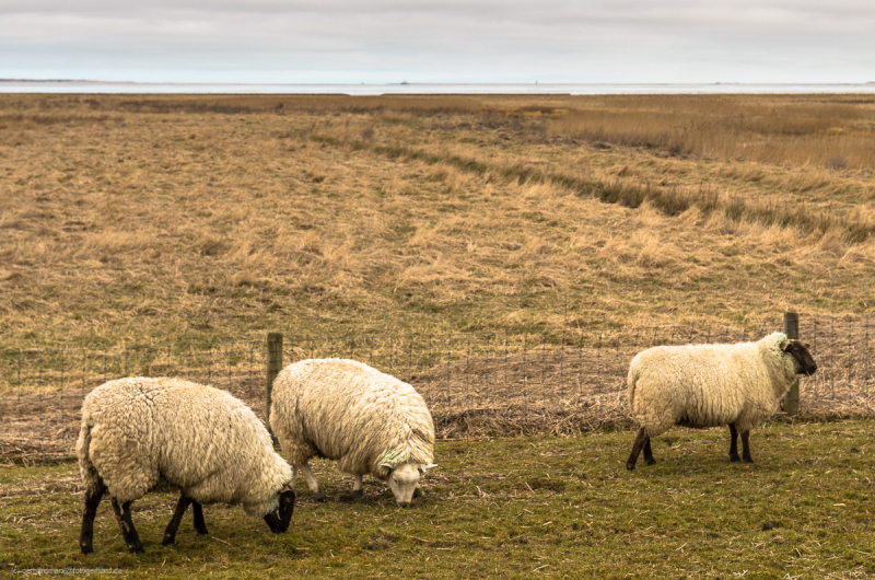 2018_03_26-10_55_30_7