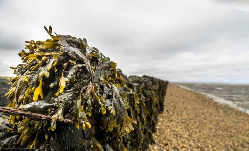 2018_03_26-11_15_35_9_stitch