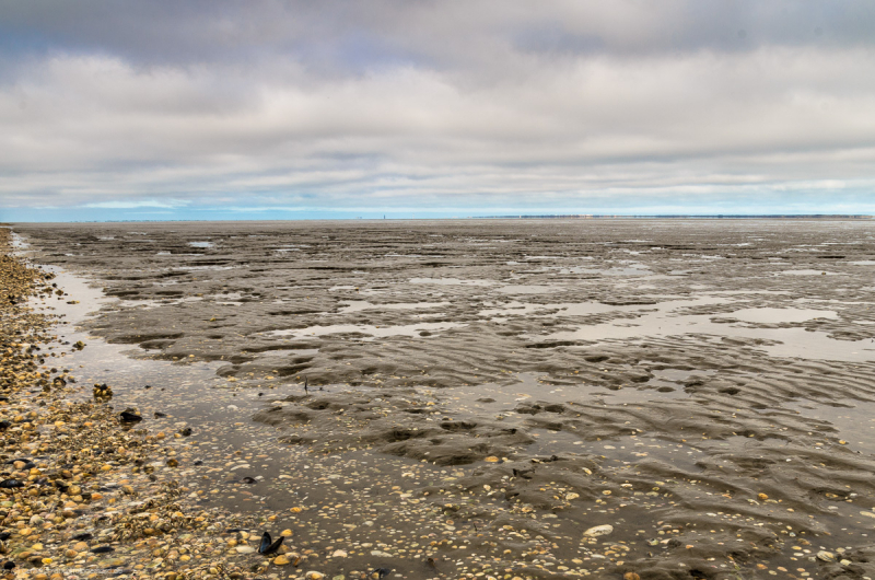 2018_03_26-11_16_20_10