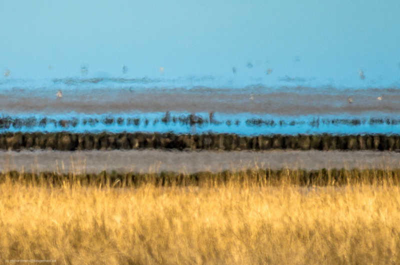 2018_03_26-11_33_33_14