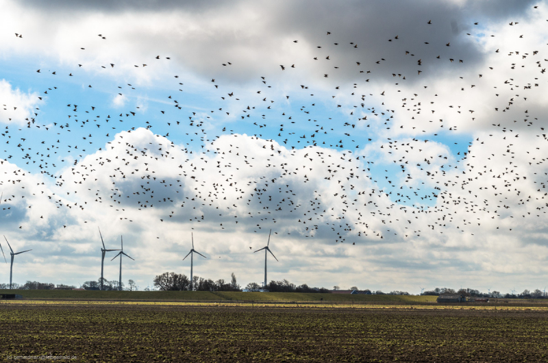 2018_03_26-12_49_03_19