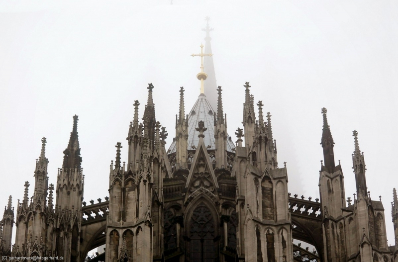 1_IMGP8150_pt_his_rot_s