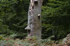 2020_09_21-09_48_01_4