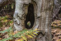 2020_09_21-09_51_55_5