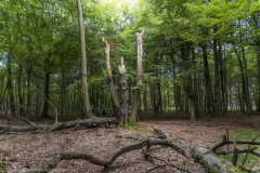 2020_09_21-09_55_00_7