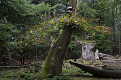 2020_09_21-10_14_15_13