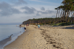 2020_09_21-11_15_34_17