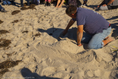 2020_09_21-11_37_28_20