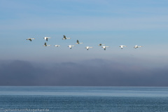 2020_09_21-11_47_21_21