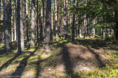 2020_09_21-13_02_43_24