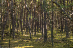 2020_09_21-13_48_04_25