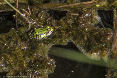 2020_09_21-14_05_34_27