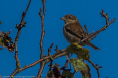 2020_09_21-14_32_02_28