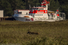 2020_09_21-15_28_53_30