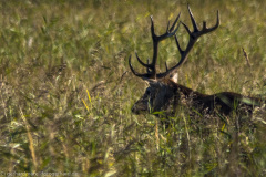 2020_09_21-16_40_37_32