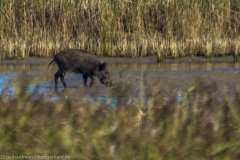 2020_09_21-16_42_59_33