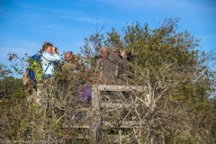 2020_09_21-17_03_52_34