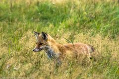 2020_09_21-18_25_57_38