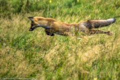 2020_09_21-18_26_15_39