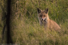 2020_09_21-18_29_58_40