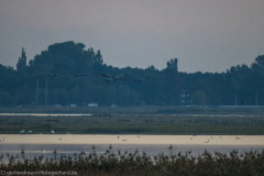 2020_09_22-06_52_00_42