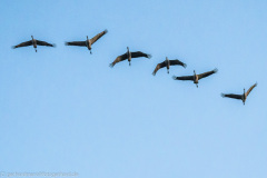 2020_09_22-06_57_56_44