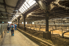 2020_09_22-13_34_56_59