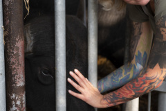 2020_09_22-13_51_08_63