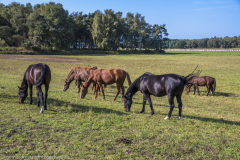 2020_09_22-14_44_39_68