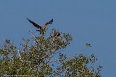 2020_09_22-16_15_07_75