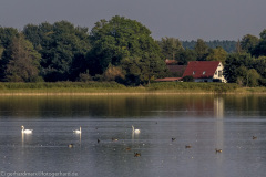 2020_09_22-16_17_40_78