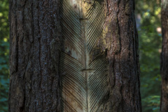 2020_09_23-11_01_35_90