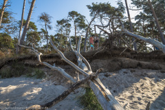 2020_09_23-11_39_21_94