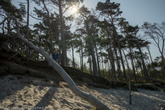 2020_09_23-11_39_40_95