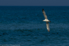 2020_09_23-11_53_23_97