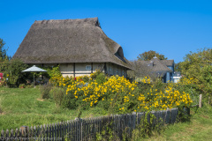 2020_09_23-13_58_02_104