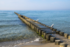 2020_09_23-16_09_07_110