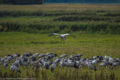 2020_09_24-09_59_50_116