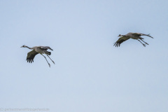 2020_09_24-10_00_43_117